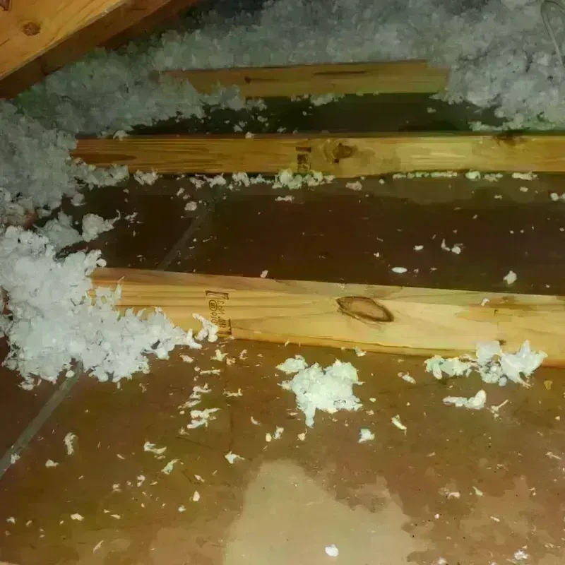 Attic Water Damage in Summit, WA