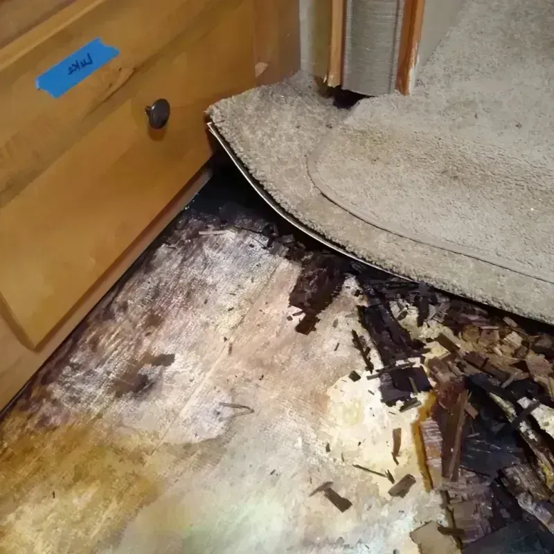 Best Wood Floor Water Damage Service in Summit, WA